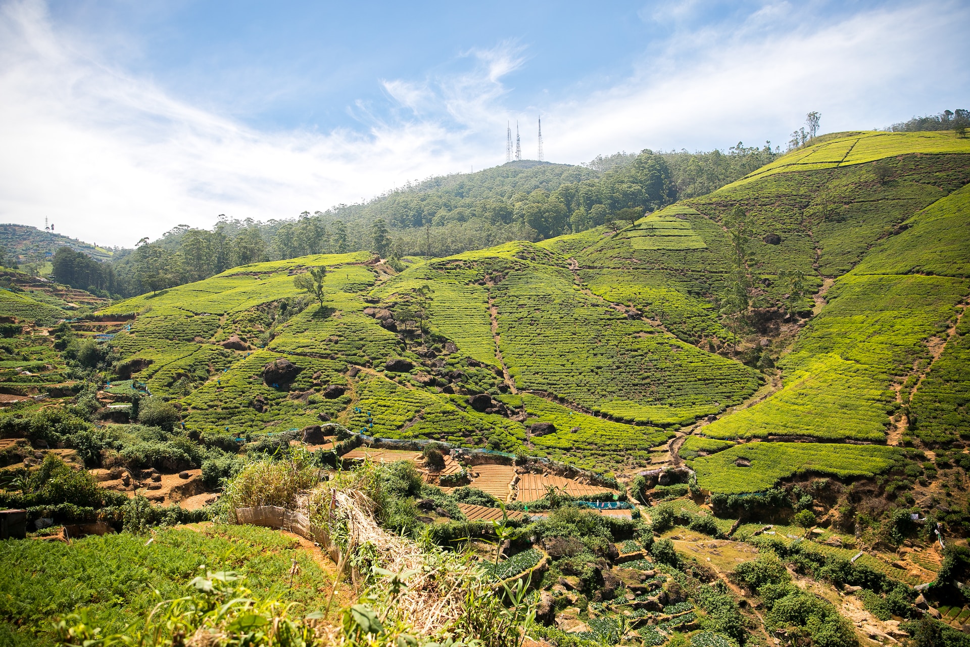 Off the Beaten Track Tour in Sri Lanka