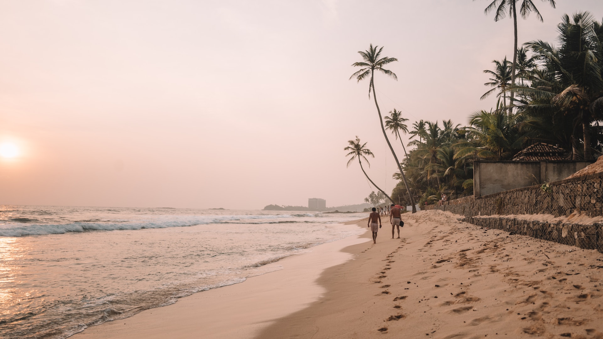 Wildlife & Beach Tour