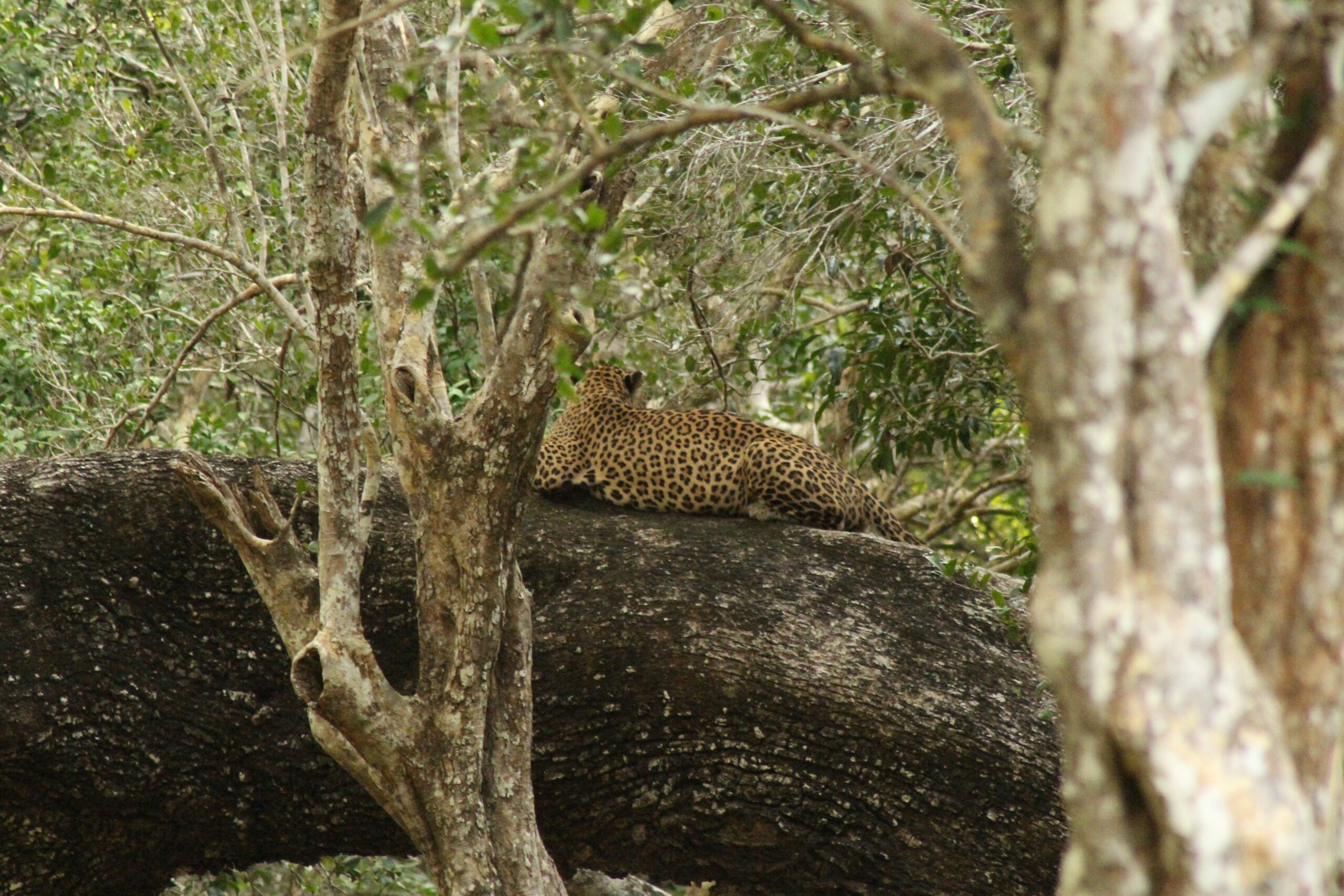 Wildlife & Beach Tour